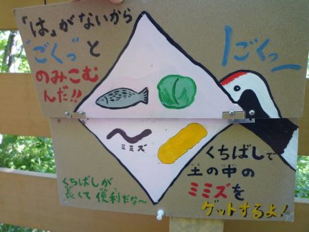 ドライフ　釧路市動物園